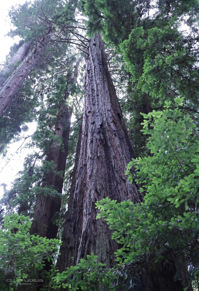 ��� ���� �635 ��������������������������