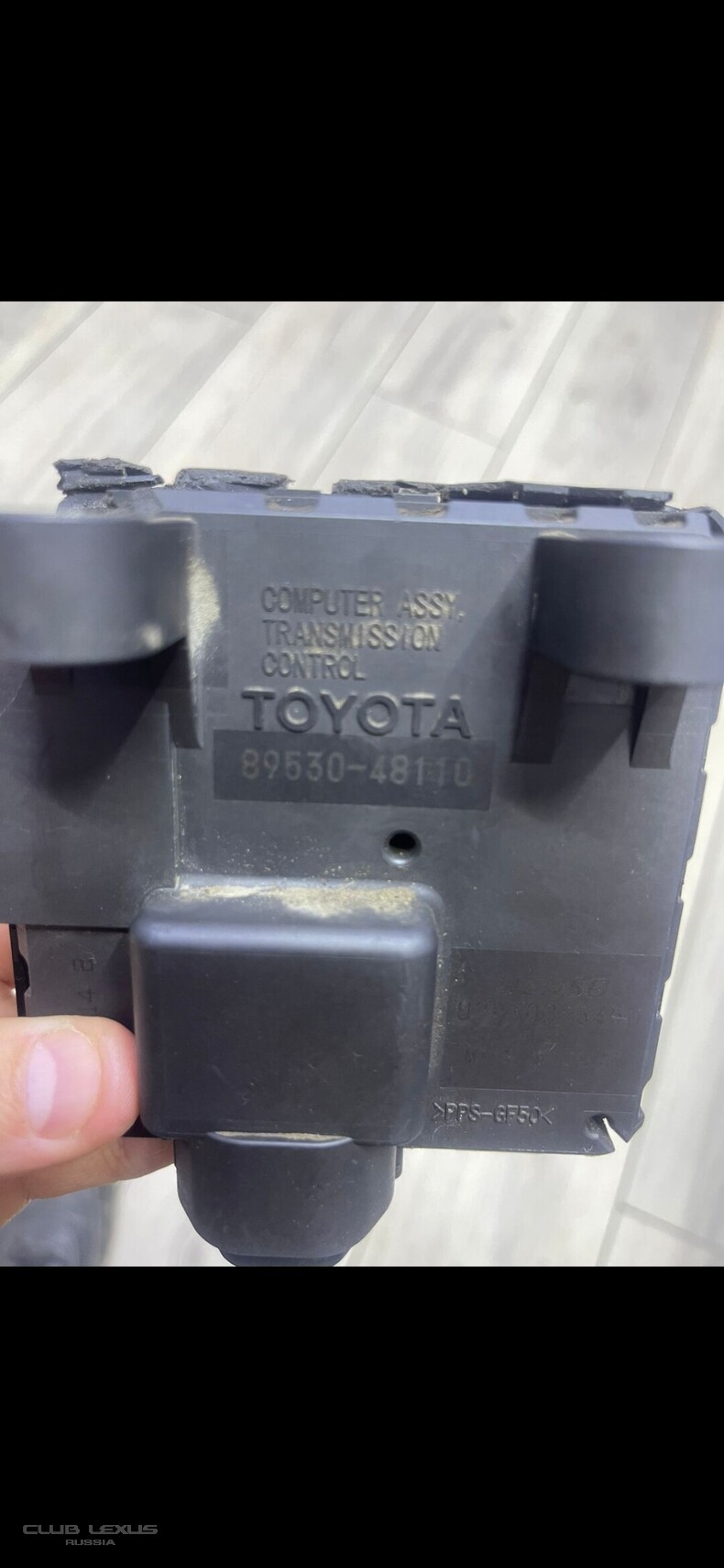 ���� ���������� ���� �������. ����� ������