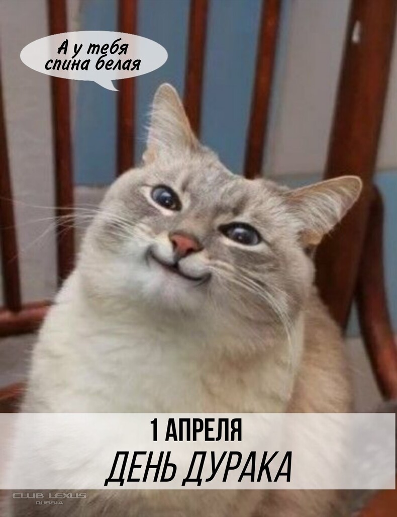 ��� ���� �635 ��������������������������