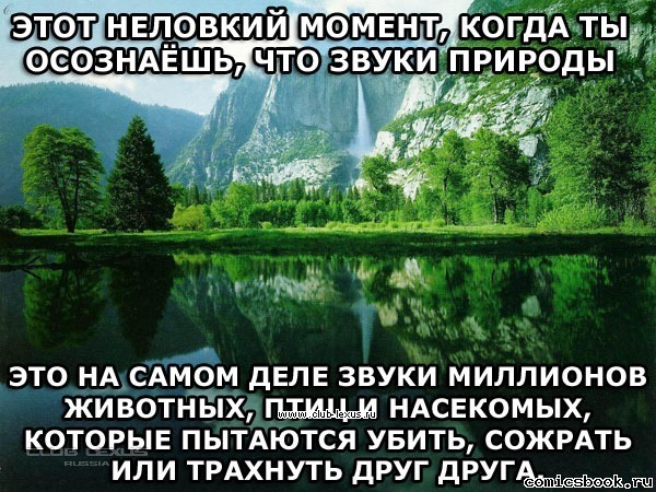 3c4a3597.jpg