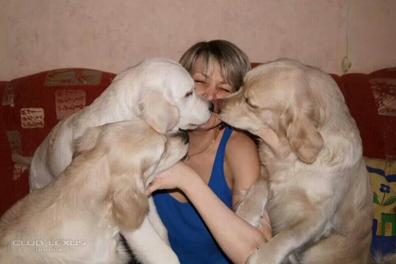 ��� ���� �632 �������������