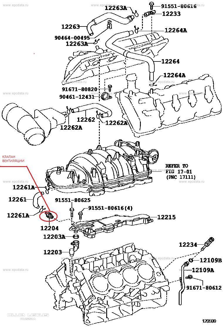       LEXUS 570