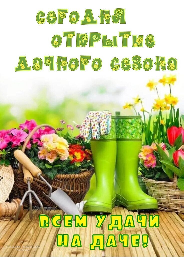 ��� ���� �636 ������������������������������