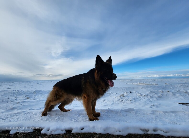 ��� ���� � 604 �����������������