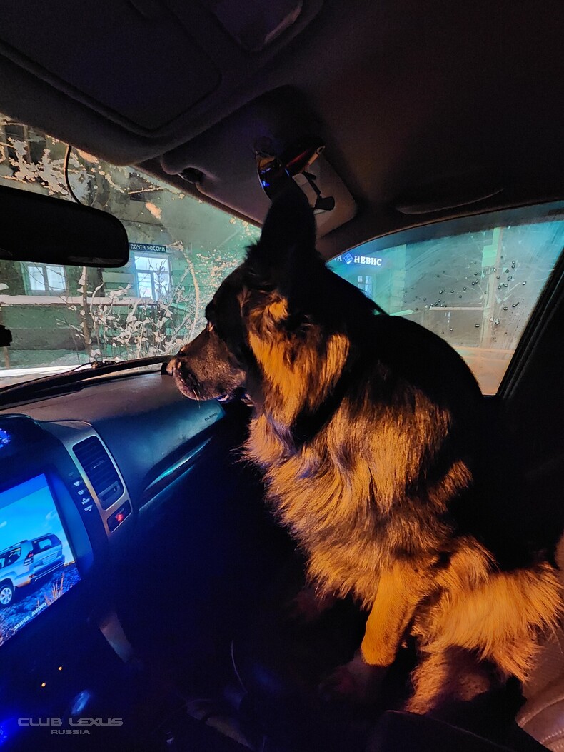 ��� ���� �639 �����������������������
