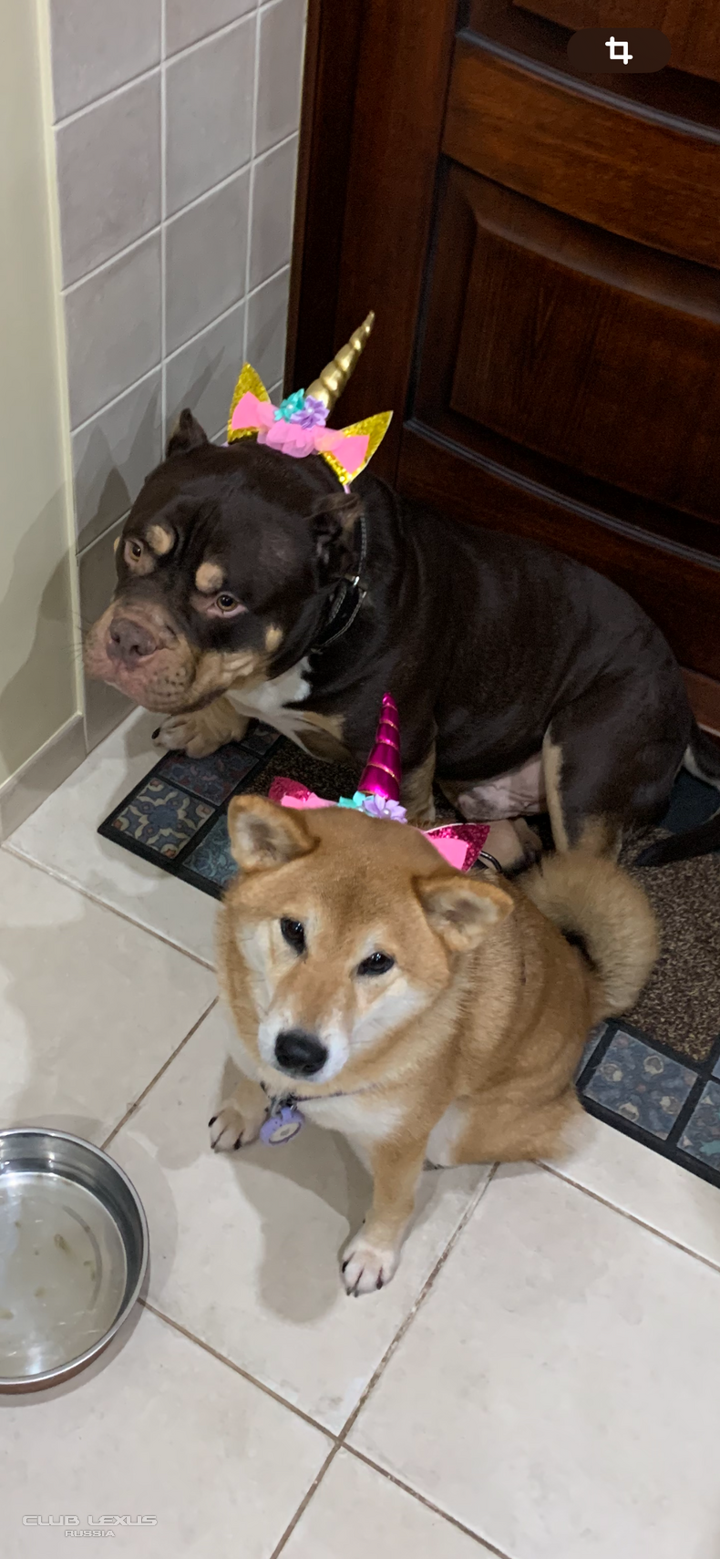 ��� ���� �634 �������������������