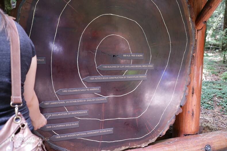 ��� ���� �635 ��������������������������