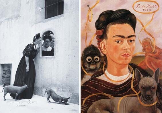 �������. ���� ��� ��������. ��������� �� ����������