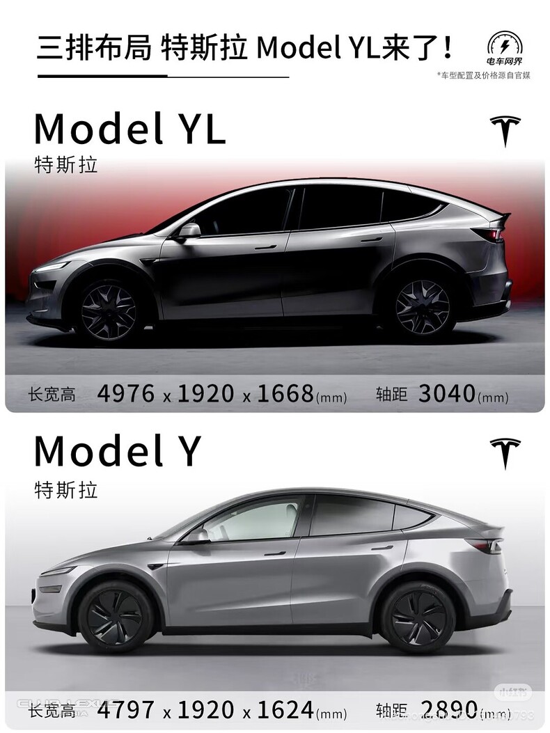 TESLA Y -  .