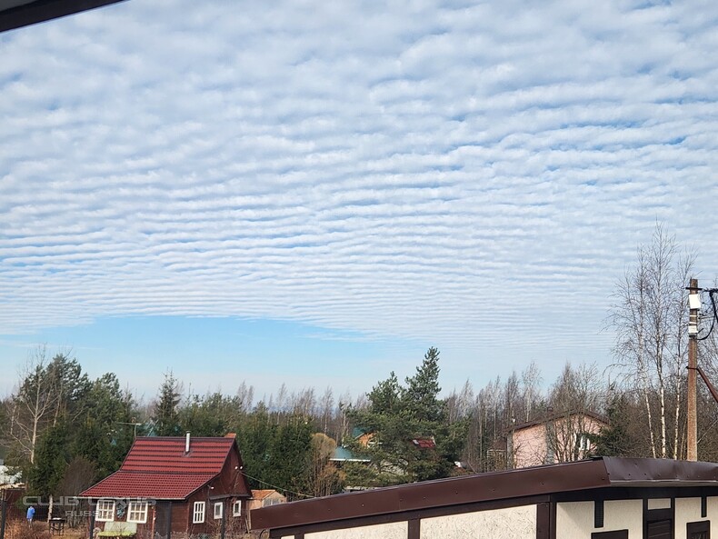 ��� ���� �635 ��������������������������