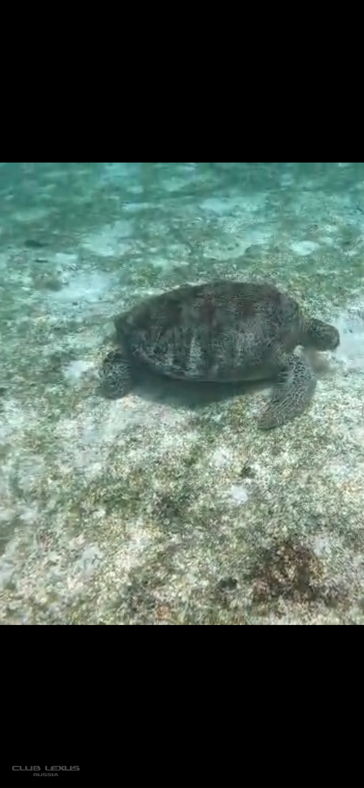 ��� ���� �632 �������������