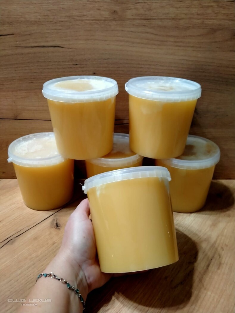 ����-���, �������, �����, ������� � ��������� �����