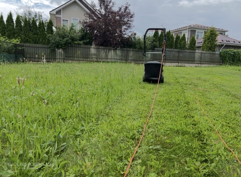 ��� ���� �636 ������������������������������