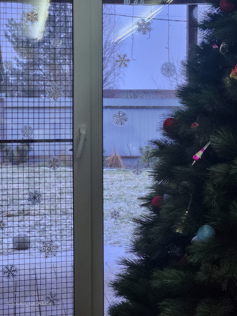 ��� ���� �631 ��������������