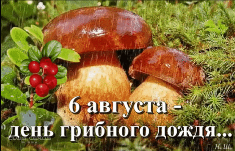 ��� ���� �640 ��������������������