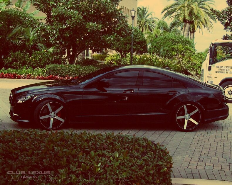   Barracuda, Corniche, Tomason, Vossen  