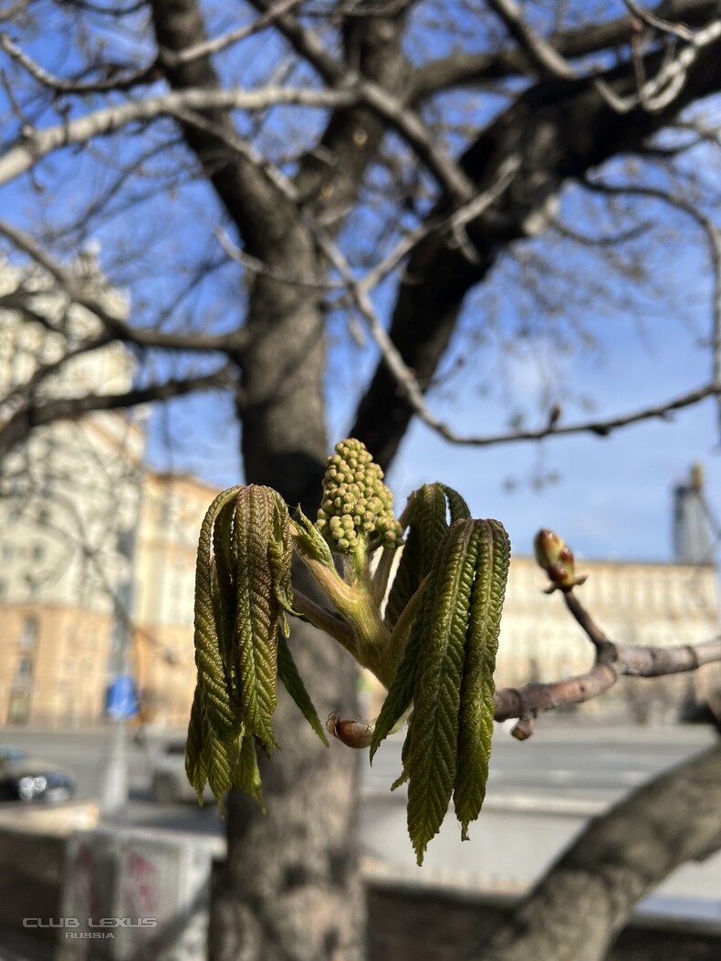 ��� ���� �636 ������������������������������