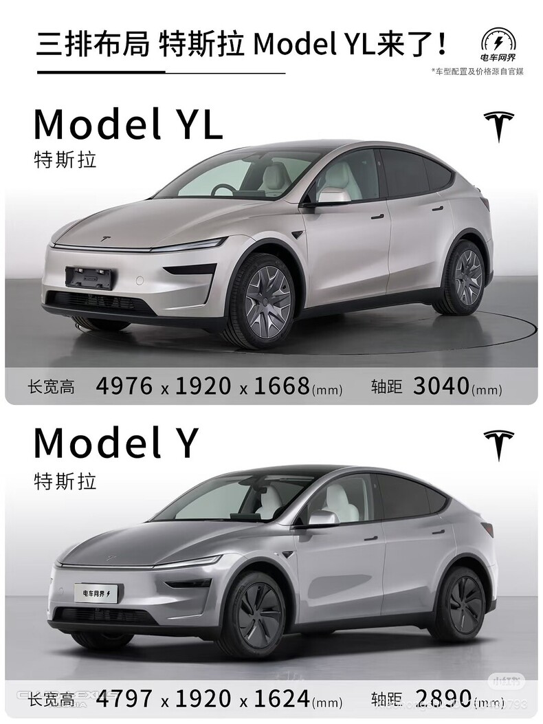 TESLA Y -  .