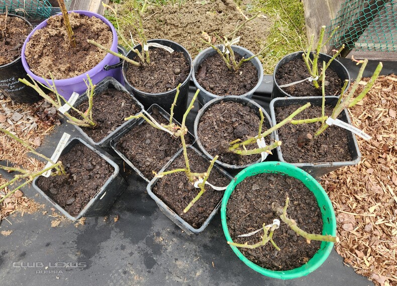 ��� ���� �635 ��������������������������