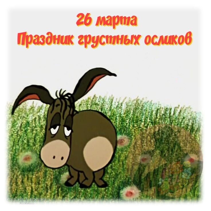 ��� ���� �635 ��������������������������