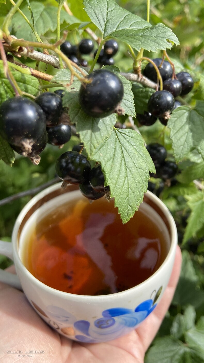 ����-���, �������, �����, ������� � ��������� �����