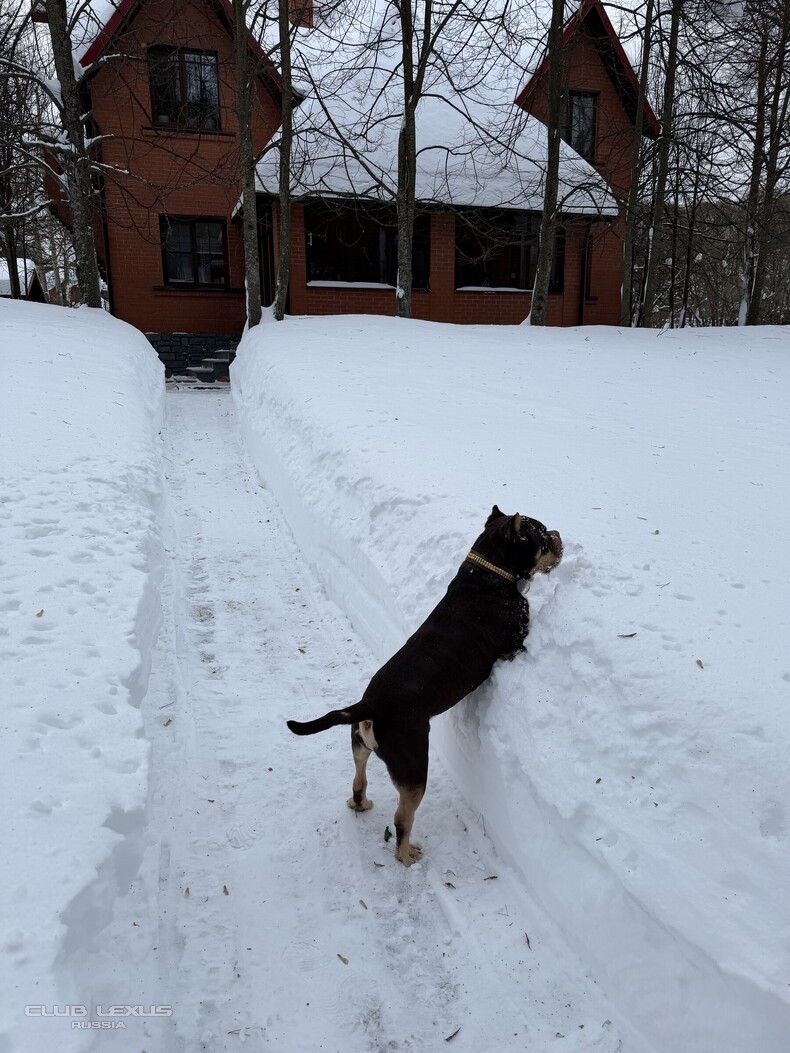 ��� ���� �633 �����������������������