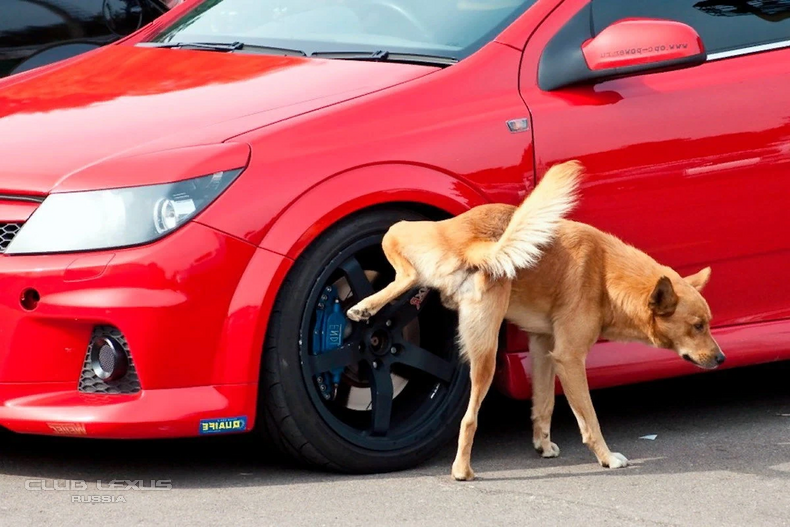 ��� ���� �636 ������������������������������