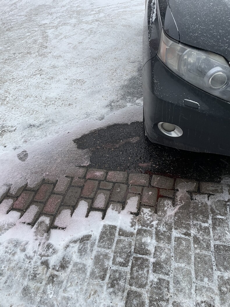 ����� ��������