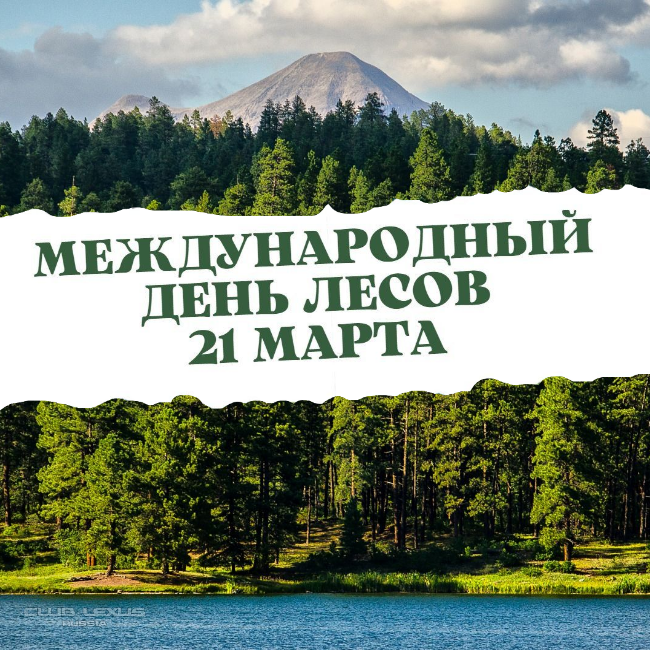 ��� ���� �635 ��������������������������