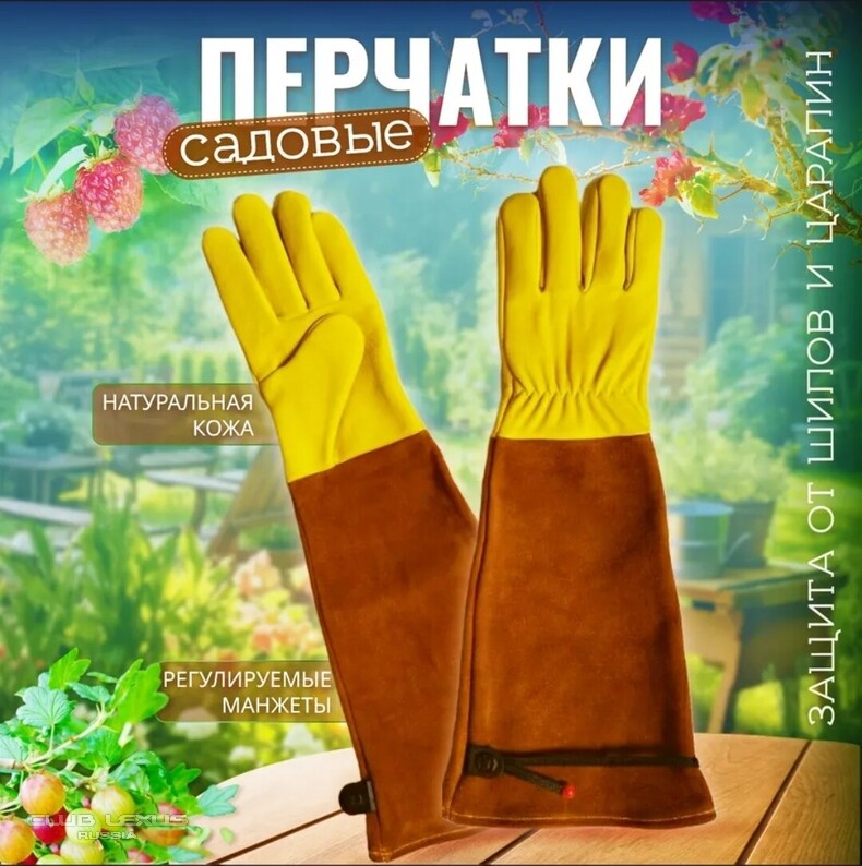 ��� ���� �640 ��������������������