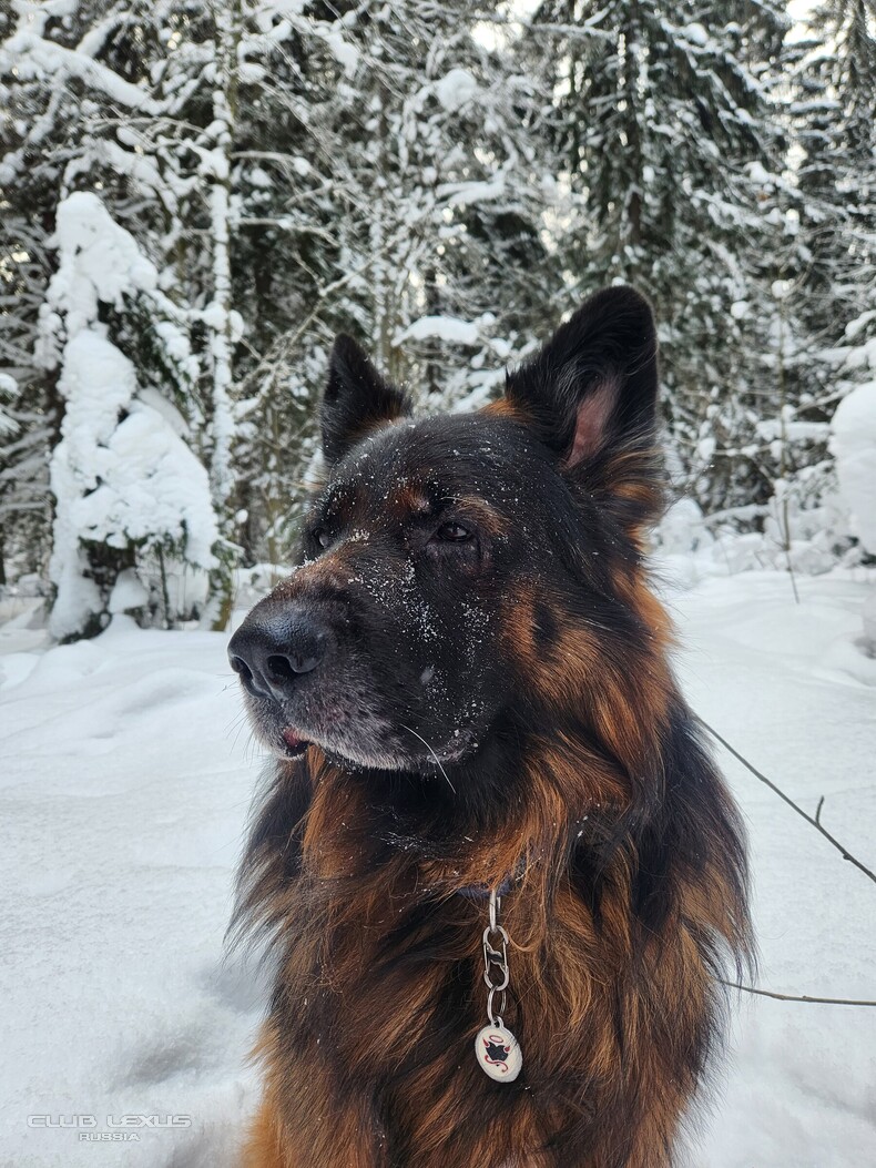 ��� ���� �632 �������������