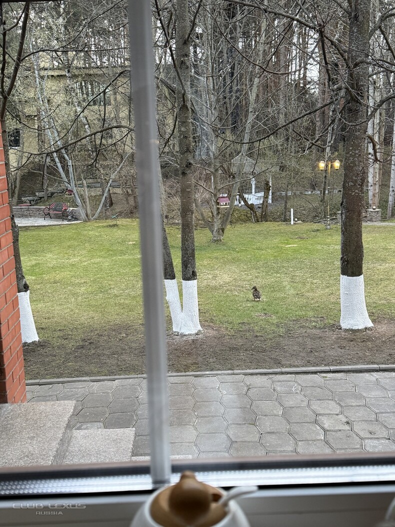 ��� ���� �636 ������������������������������