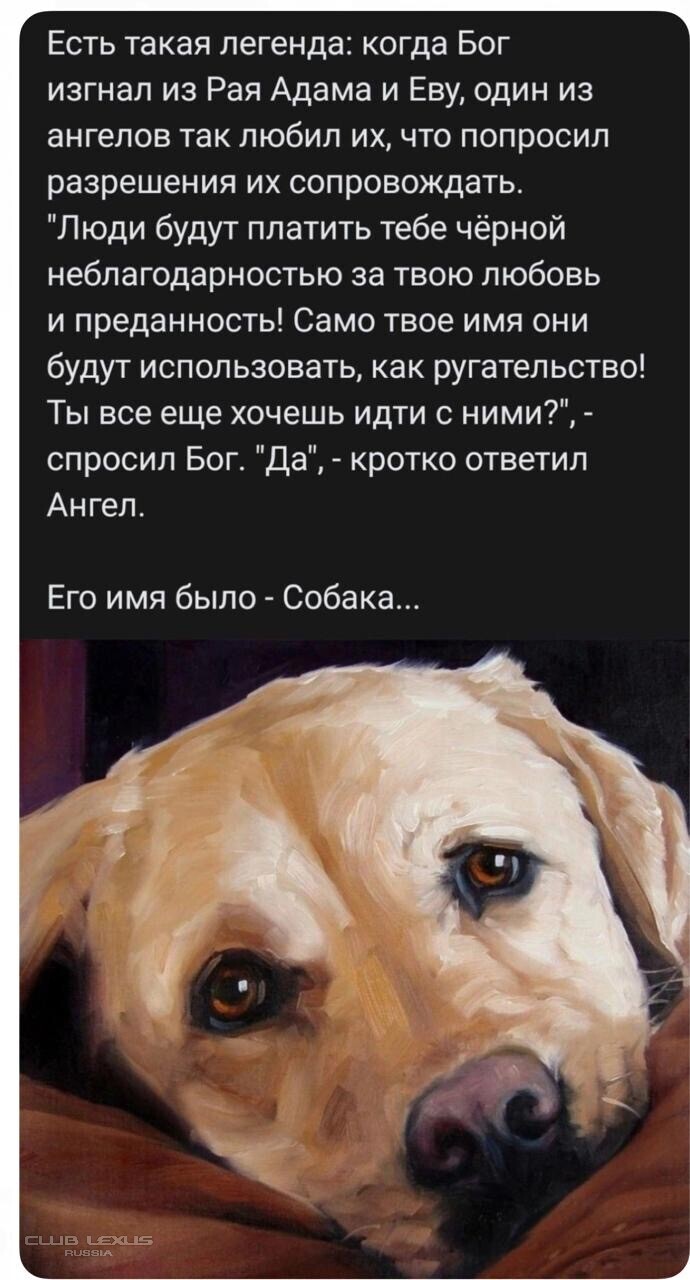 ��� ���� �636 ������������������������������