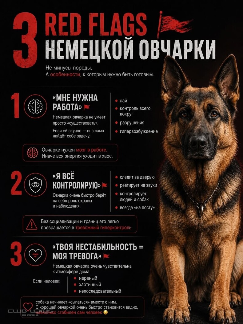 ��� ���� �637 ����������������