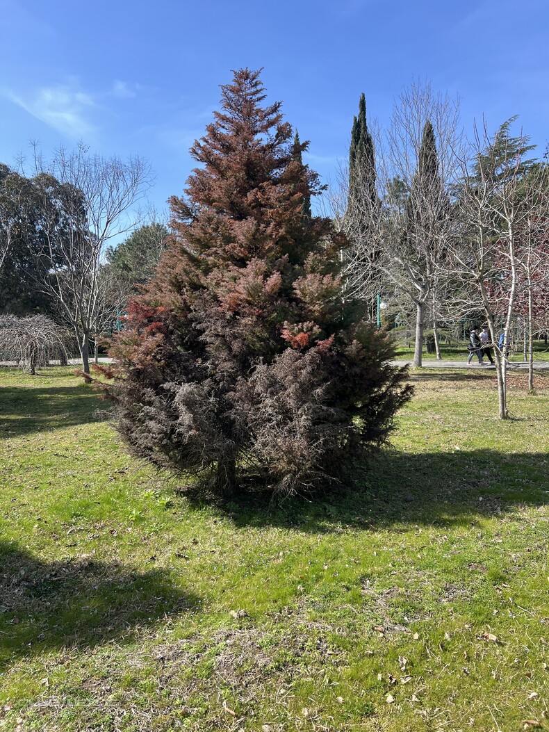 ��� ���� �635 ��������������������������