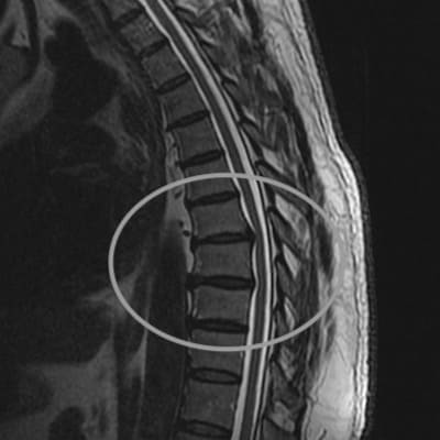 ��� ���� �635 ��������������������������