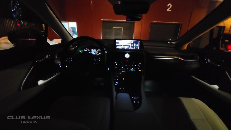  Lexus RX300  2019  