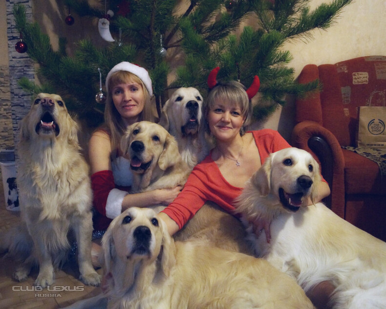 ��� ���� �632 �������������