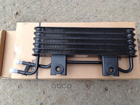 ��������� �������� ����