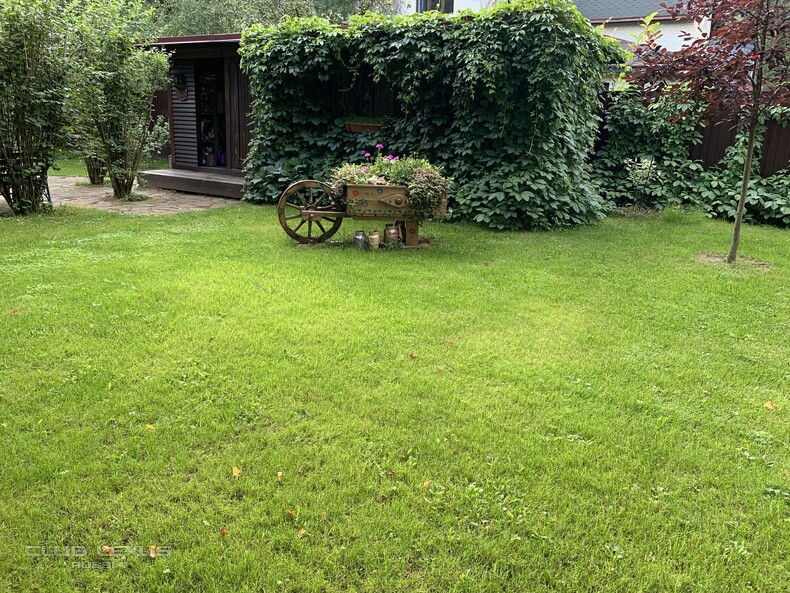 ��� ���� �636 ������������������������������