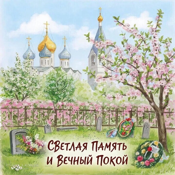 ��� ���� �636 ������������������������������