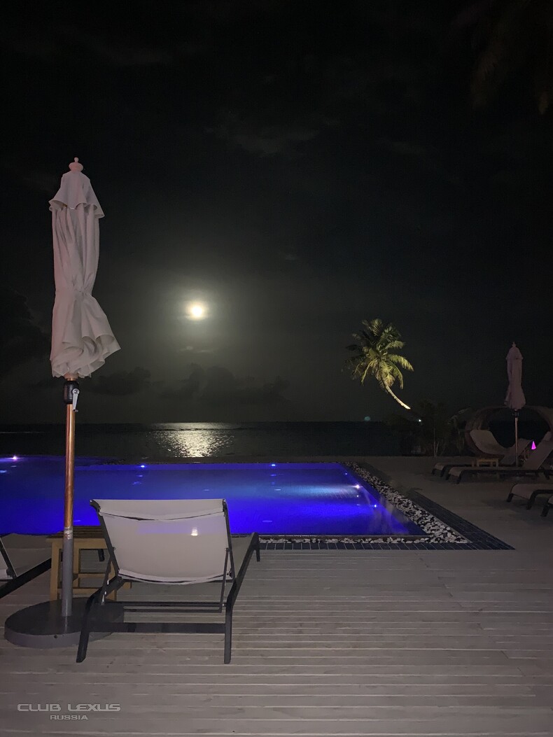 ��� ���� �636 ������������������������������