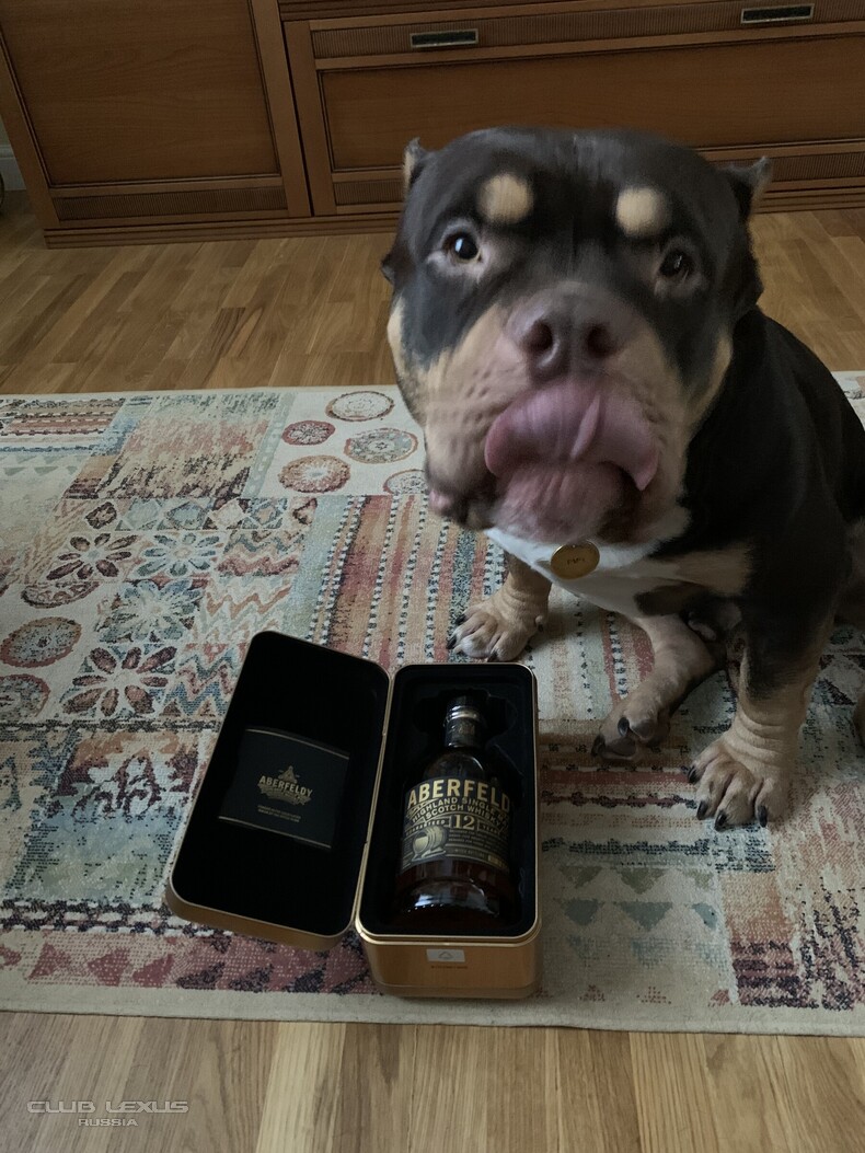 ��� ���� �633 �����������������������