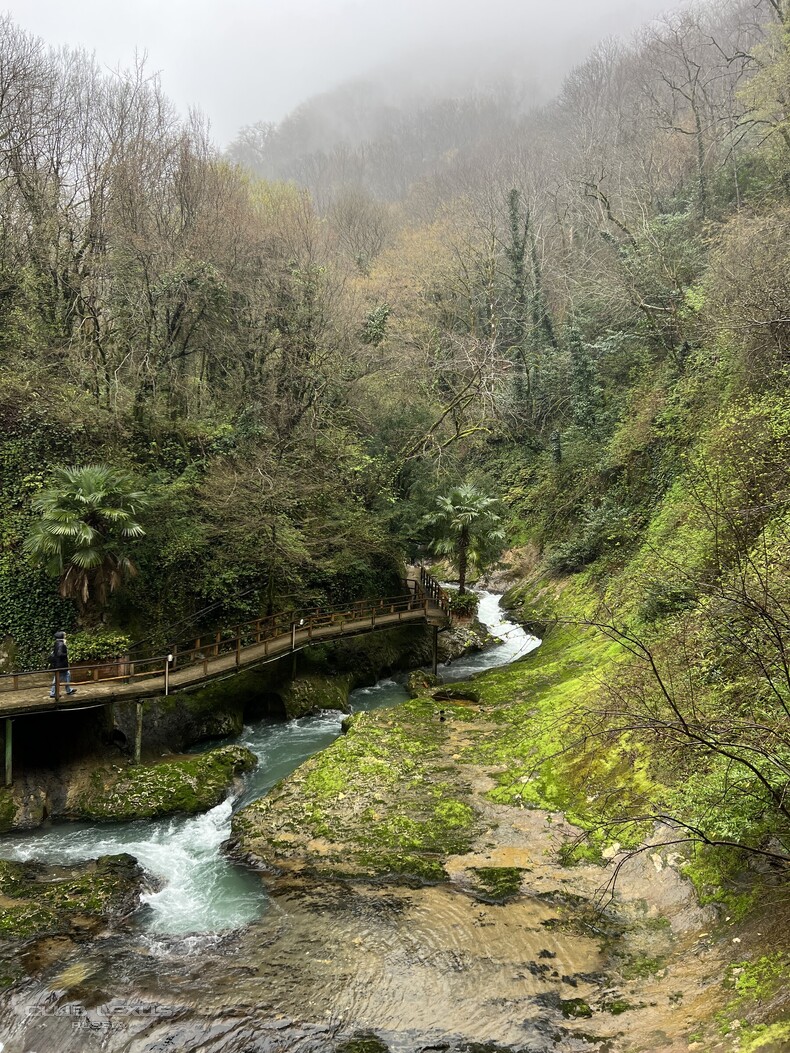 ��� ���� �635 ��������������������������