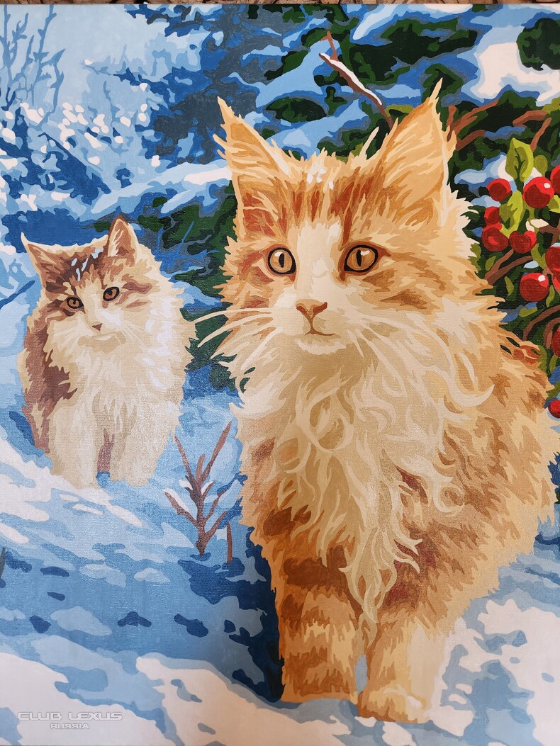 ��� ���� �634 �������������������