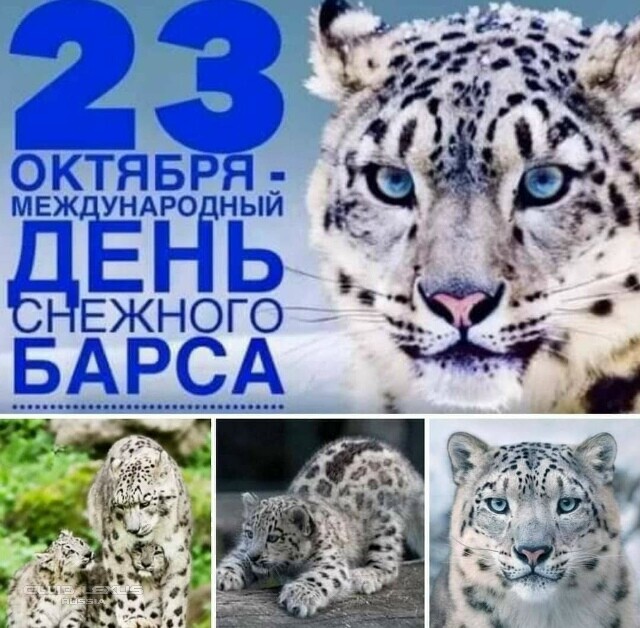 ��� ���� �642 ������������������