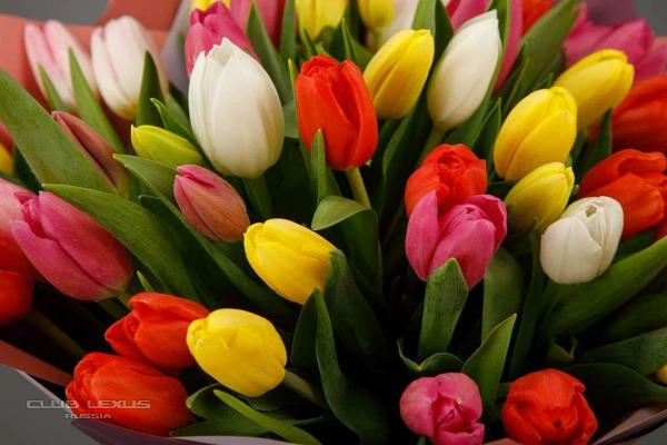 ��� ���� �634 �������������������