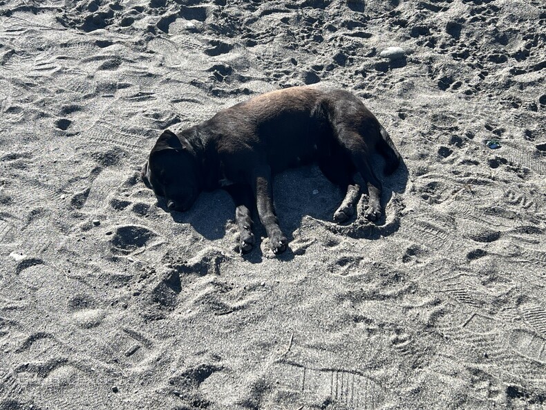 ��� ���� �635 ��������������������������