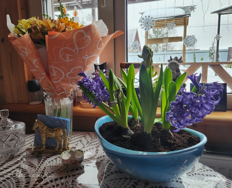 ��� ���� �633 �����������������������