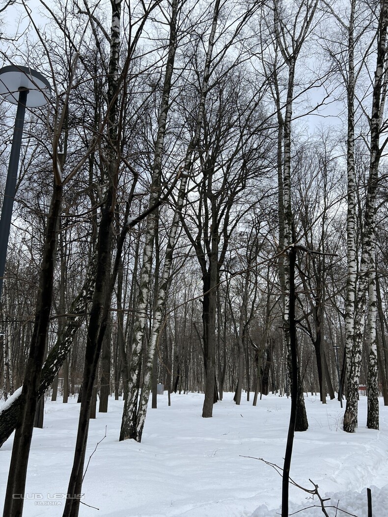 ��� ���� �633 �����������������������